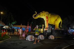 BIB: 
                            <button type="button" onclick="openModal(26552373)" class="btn btn-primary btn-sm float-right btn-popup" data-toggle="modal" data-target=".modal-high-quality">
                        <i class="fas fa-shopping-cart"></i> Add to Cart
                    </button>
                                            <button type="button" onclick="isThisMe(26552373, true)" class="btn btn-success btn-sm float-right btn-popup btn-isme hidden" data-toggle="tooltip" data-placement="bottom" title="นี่คือรูปของคุณใช่ไหม คลิกที่นี่เพื่อเอาเข้าอัลบั้ม">
                        <i class="fas fa-plus"></i> Add to album
                    </button>
                    <button type="button" onclick="isThisMe(26552373, false)" class="btn btn-warning btn-sm float-right btn-popup btn-isnotme hidden">
                        <i class="fas fa-ban"></i> Remove from album
                    </button>